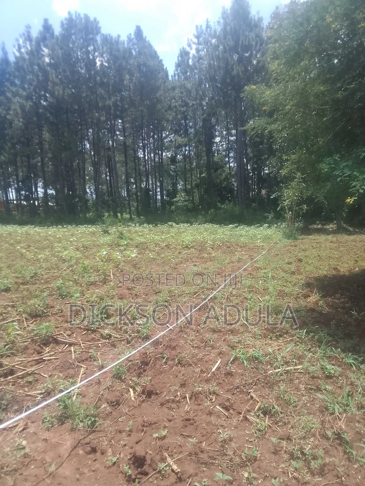 Land in Lira