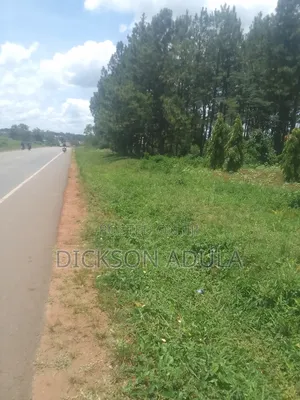 Land in Lira