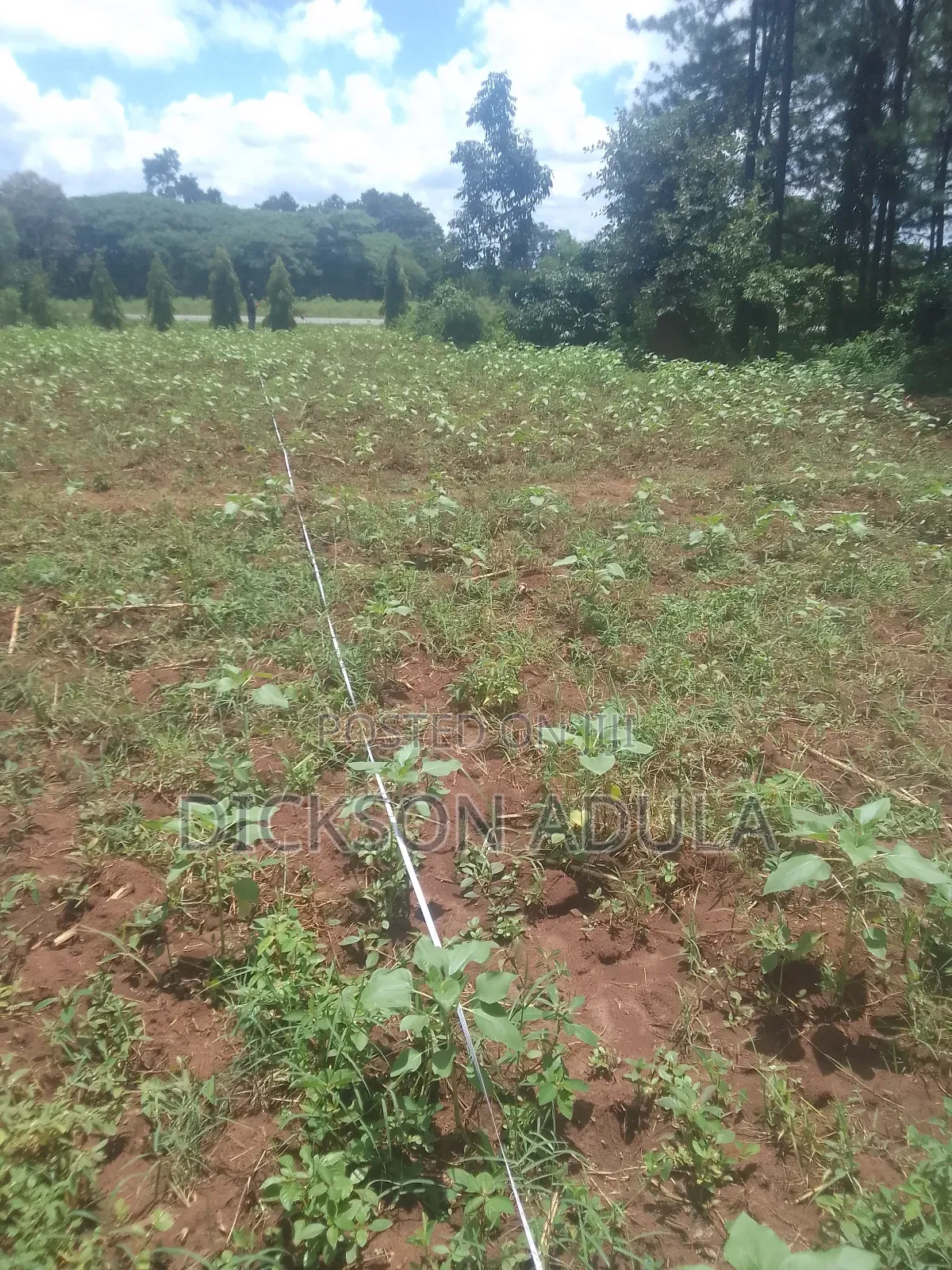 Land in Lira