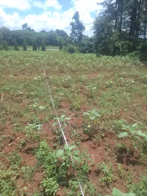 Land in Lira