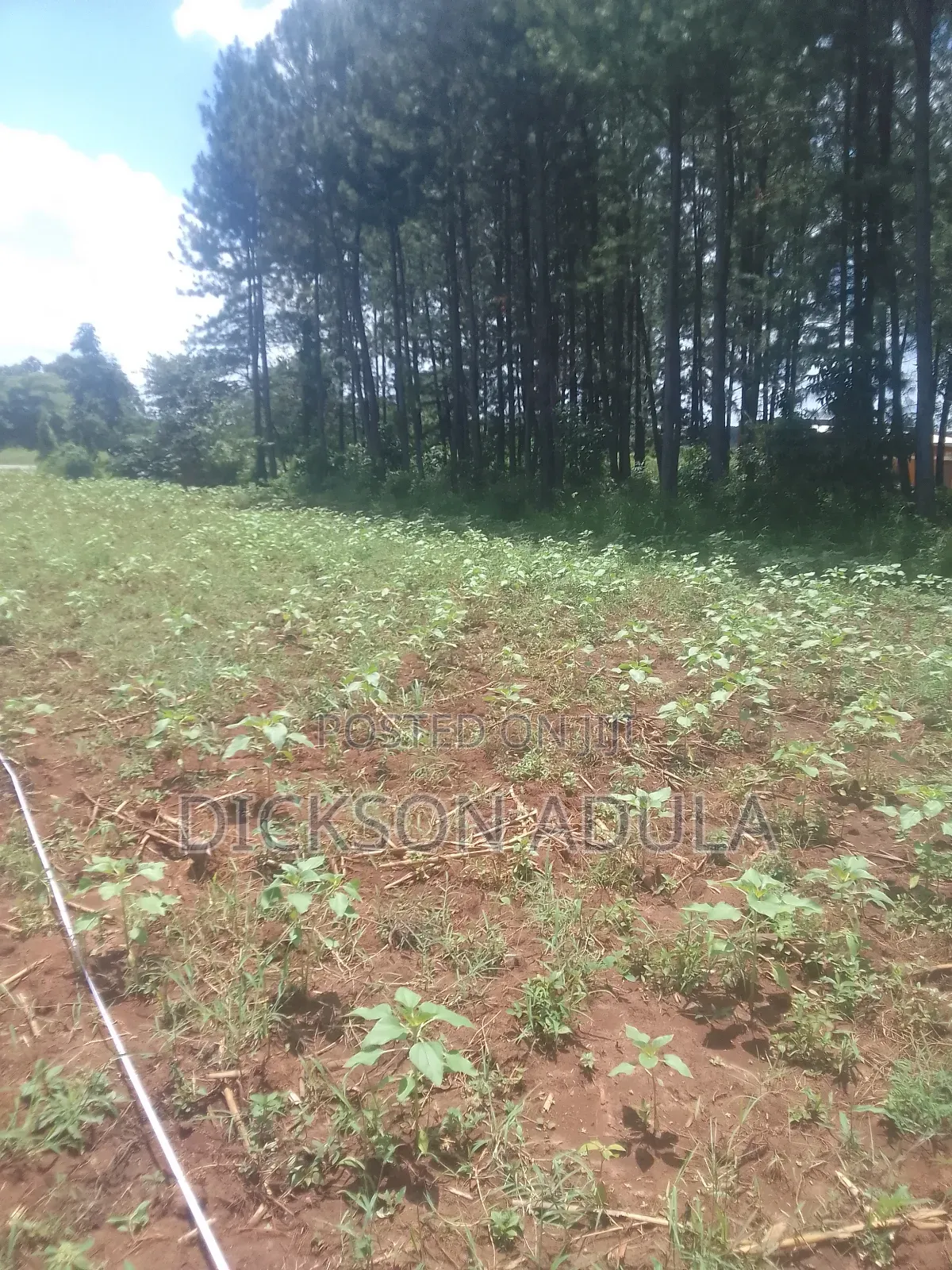 Land in Lira