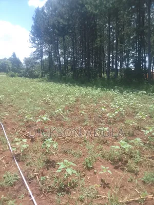 Land in Lira
