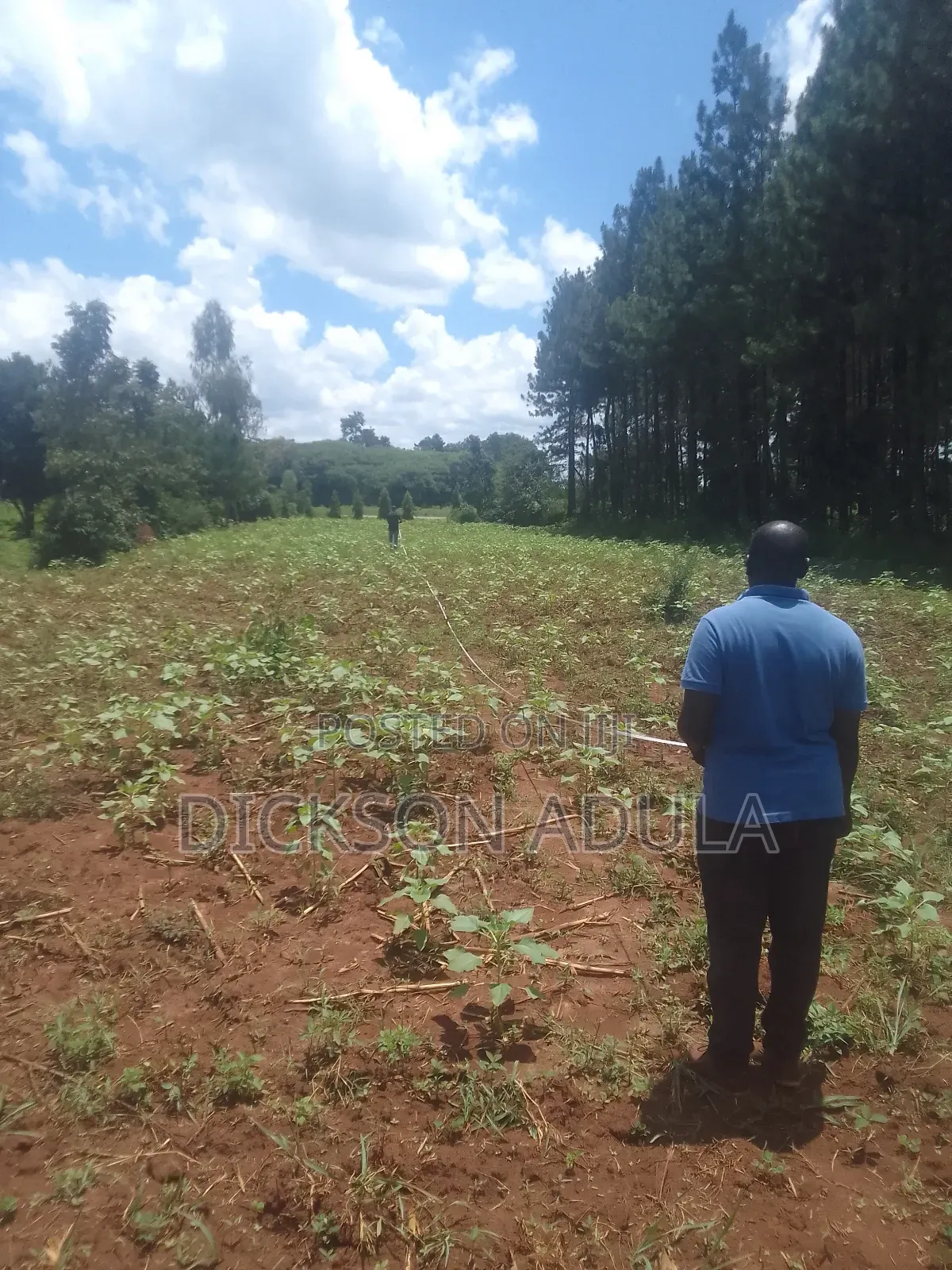 Land in Lira