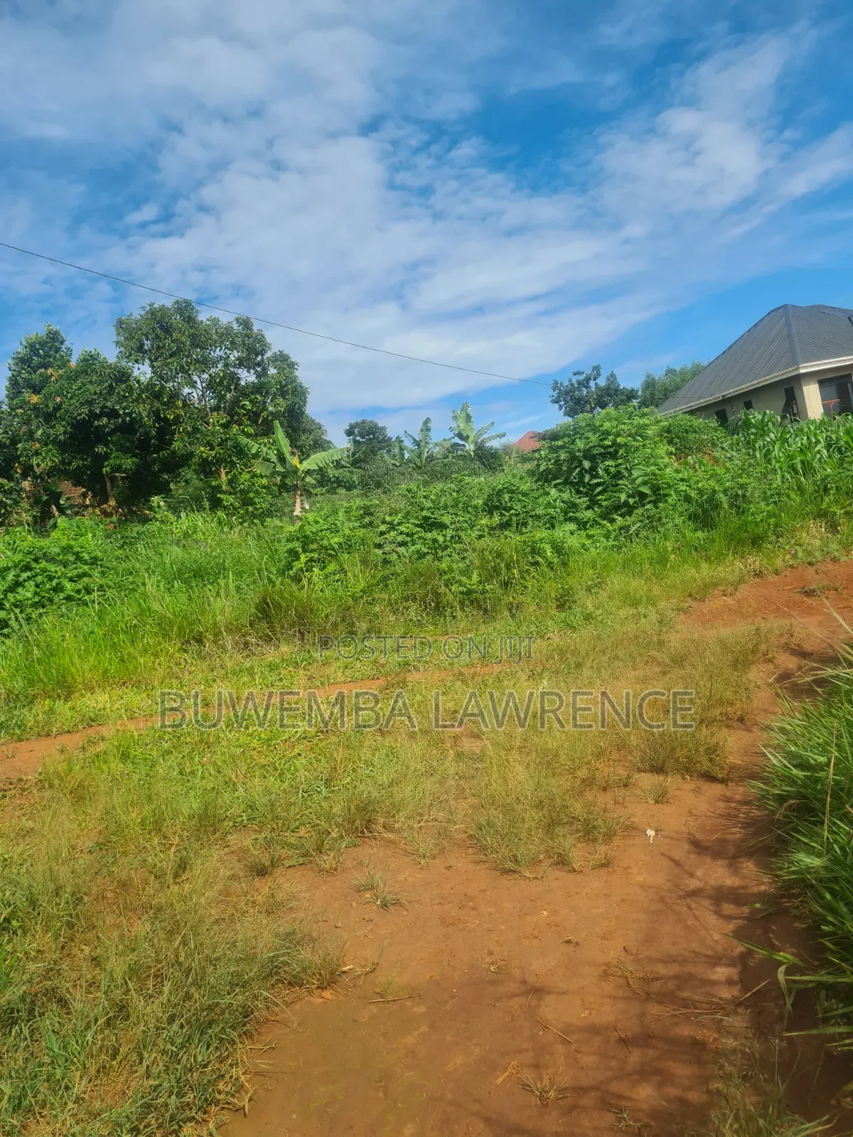 For Sale Half Acre in Wakiso Nkowe Hoima Rd