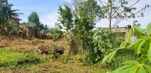 Lukwanga (50by30ft)