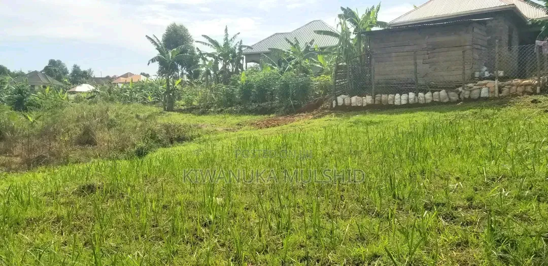 Lukwanga (50by30ft)