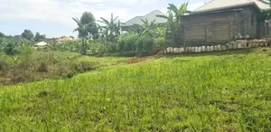 Lukwanga (50by30ft)