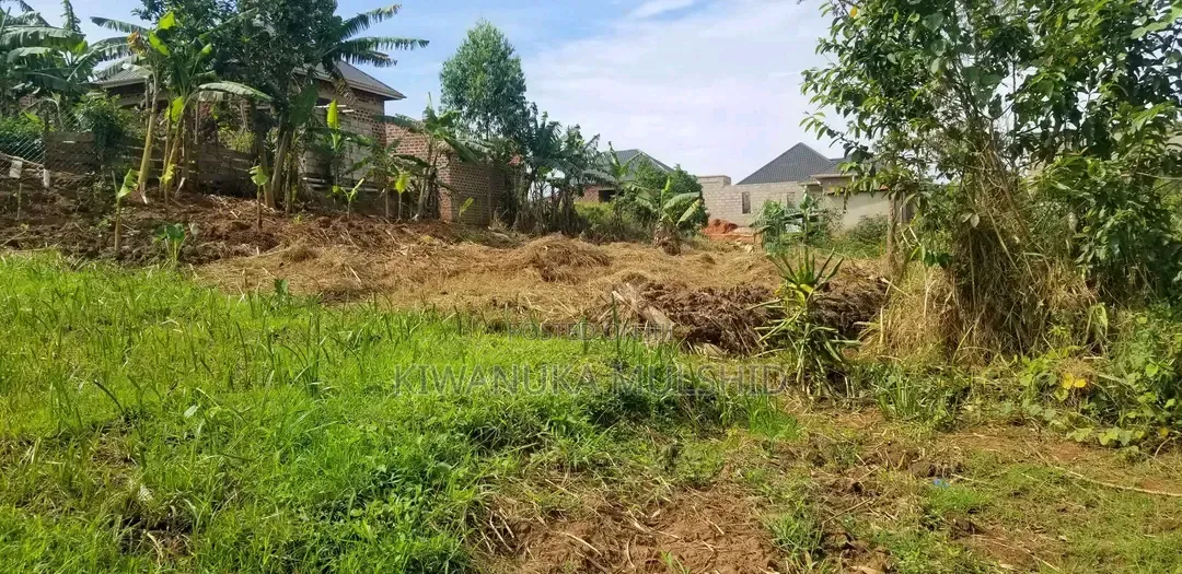 Lukwanga (50by30ft)