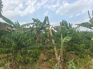 Land for Sale in Wabutungulu Zirobwe
