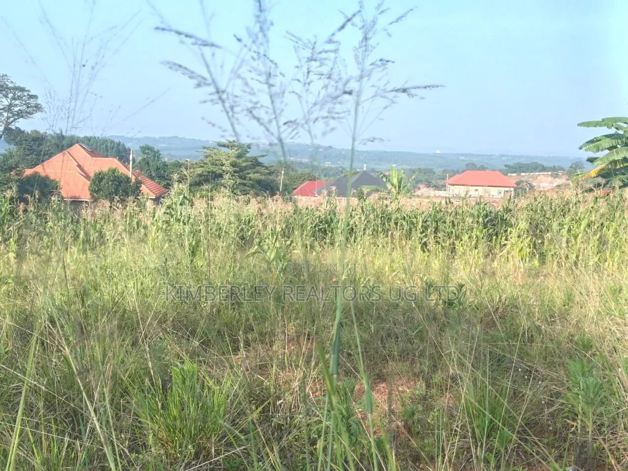 50 Decimals Prime Land –