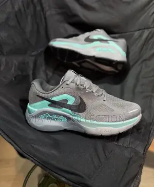 Gray Version of Nike Zoom X Running Shoes