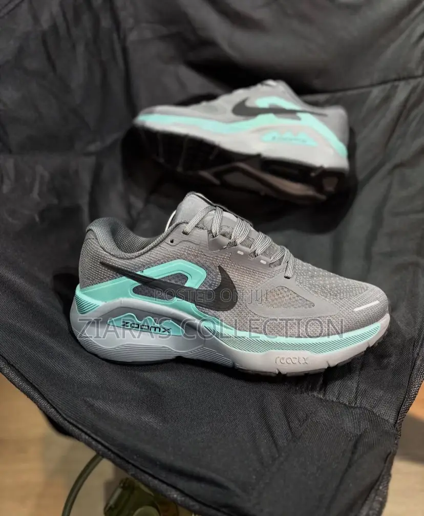 Gray Version of Nike Zoom X Running Shoes