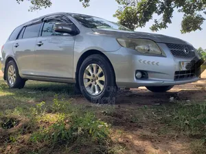 Toyota Corolla Fielder 2007 Silver