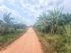Coffee Plantation on Quick Sale – Mukono Nakifuma