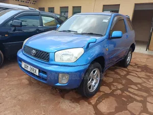 Toyota RAV4 2004 Blue