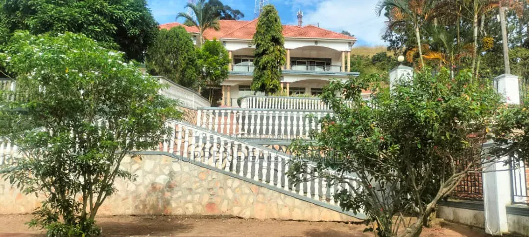 Big Building for Rent in Kisaasi