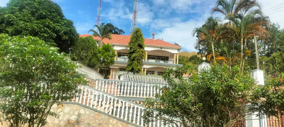 Big Building for Rent in Kisaasi