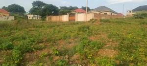 Quick Sale 50x100ft Plots7