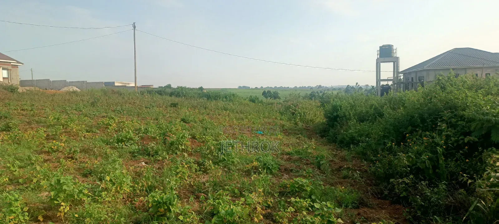 Quick Sale 50x100ft Plots7