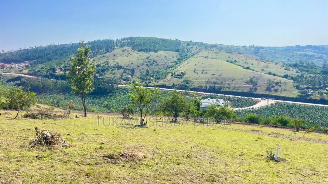Isingiro Kabingo Mile 17 Estate