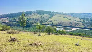 Isingiro Kabingo Mile 17 Estate