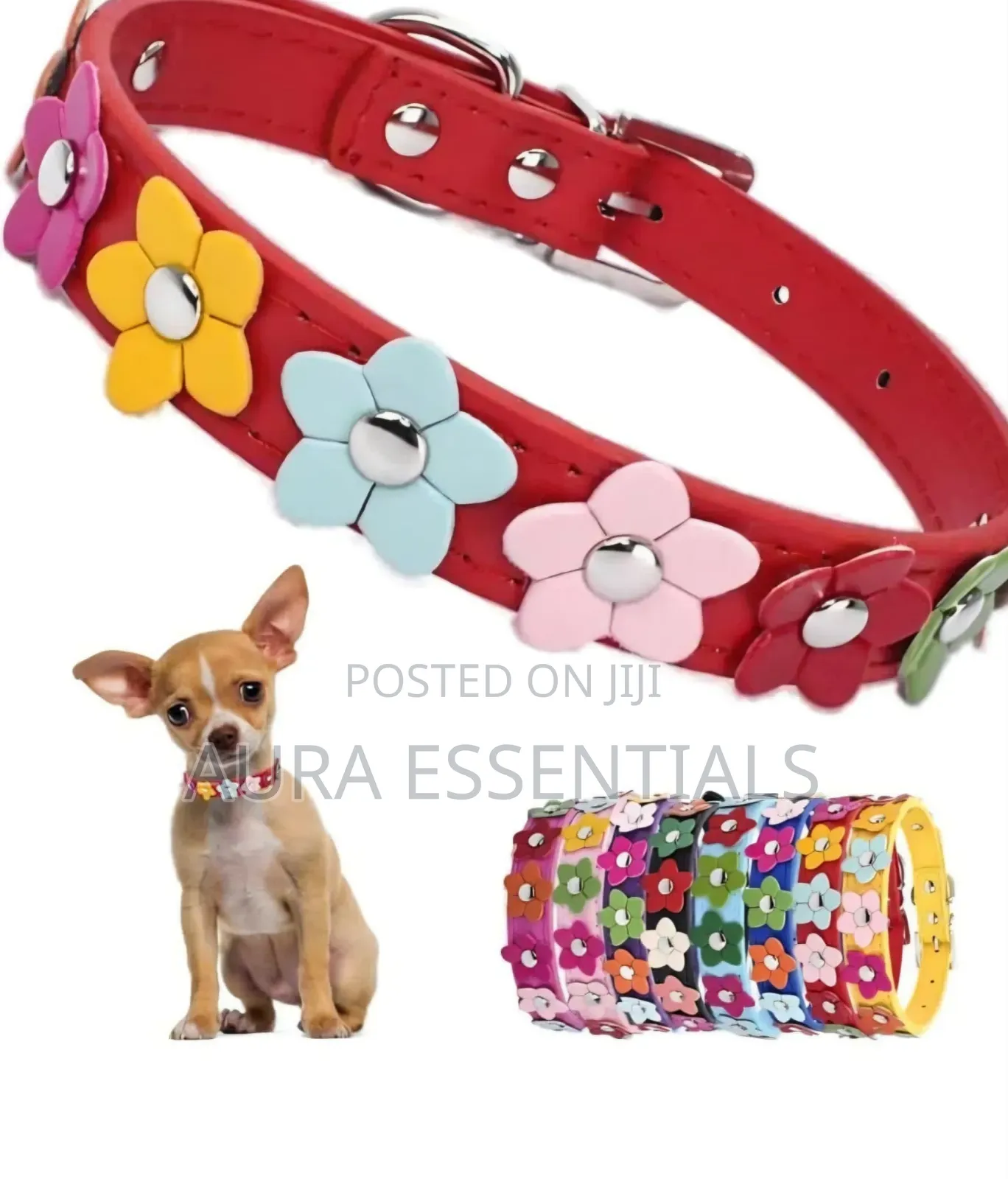 Dog Leather Collars With Fancy Pretty Colorful Flowers