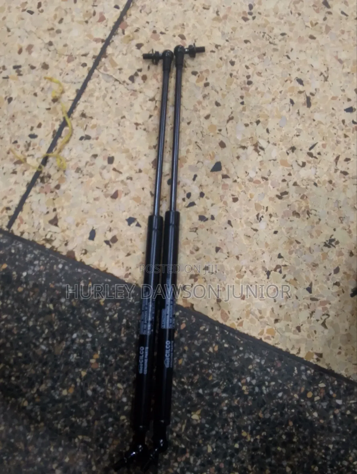 Hood (Bornate)Shocks or Struts
