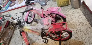 Bicycle or Kids Learning Bike