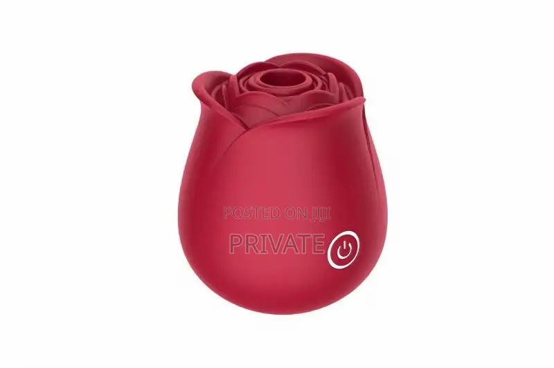 10 Rose Suction Sex Toy Vibrator