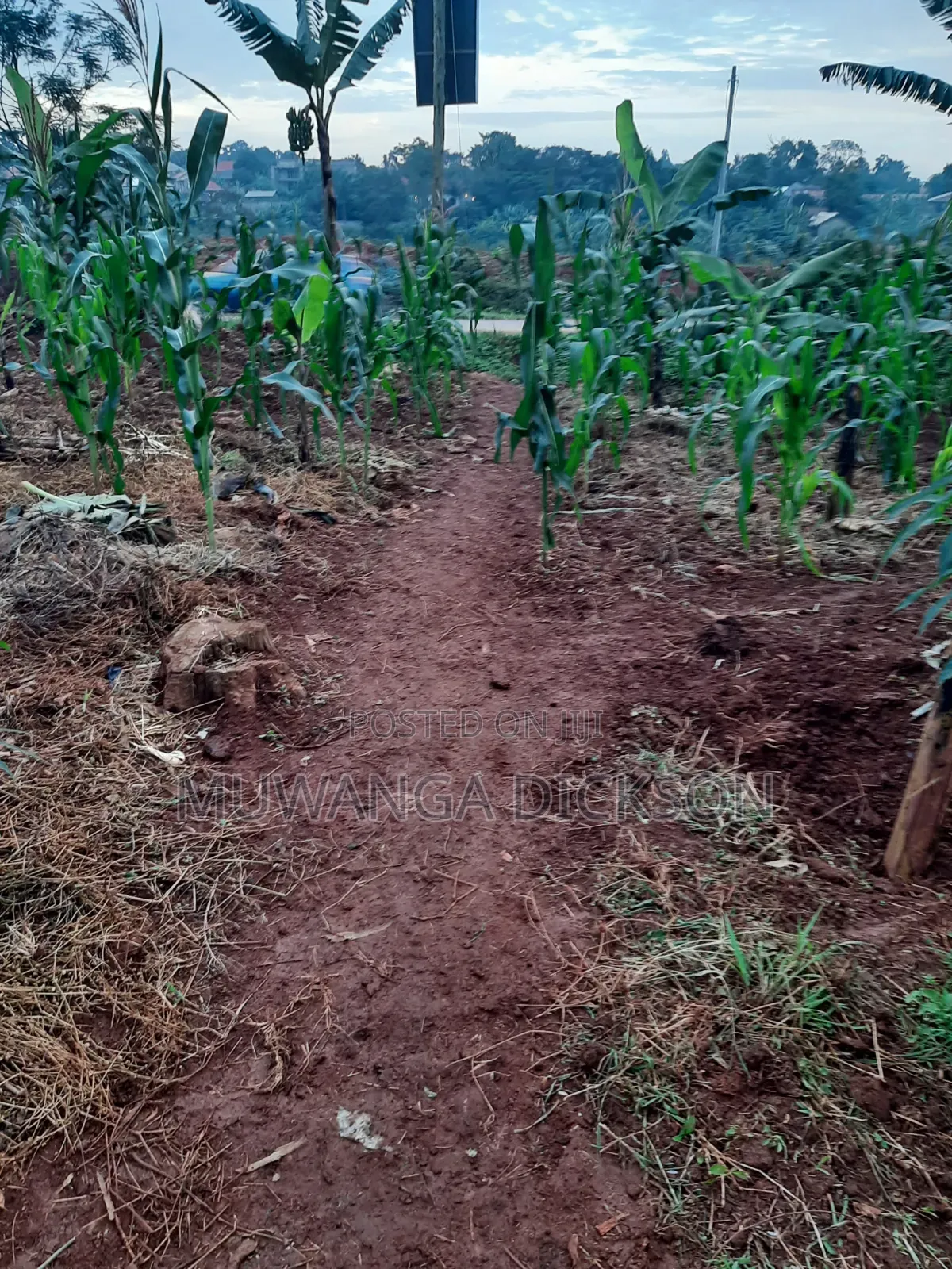 Land for Sale