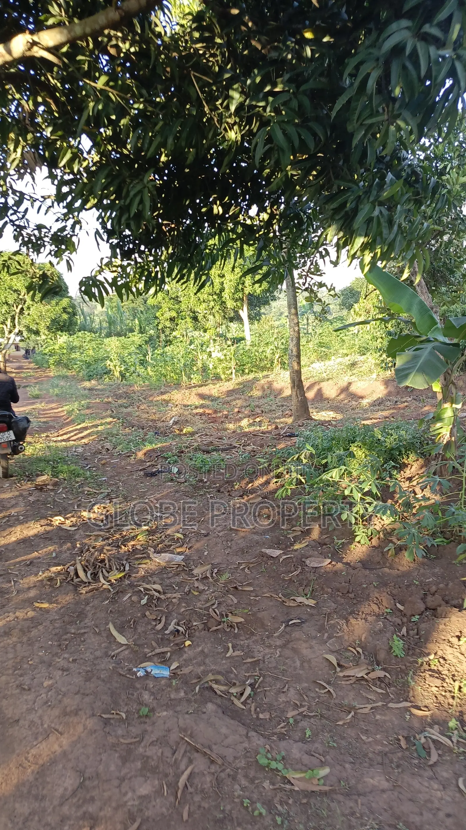 A Plot for Sale in Kasanjje