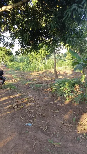 A Plot for Sale in Kasanjje