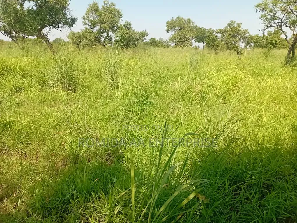 Farm Land For Sale In Pader