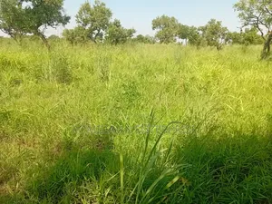 Farm Land For Sale In Pader