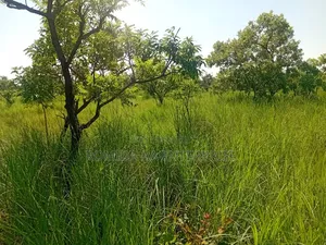 Farm Land For Sale In Pader