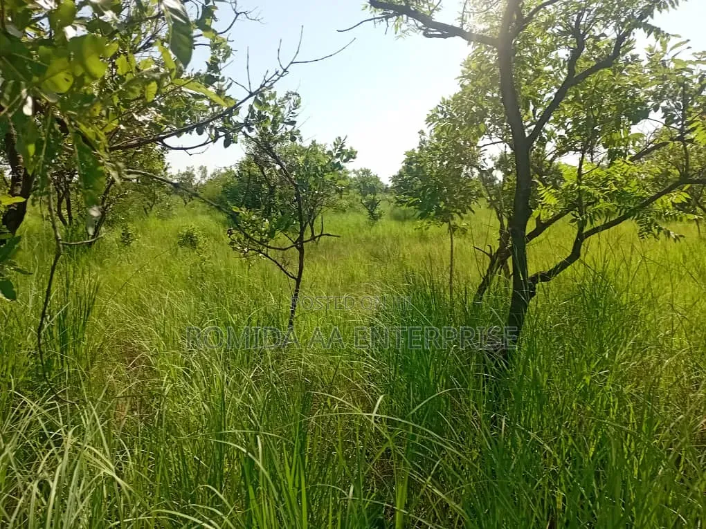 Farm Land For Sale In Pader