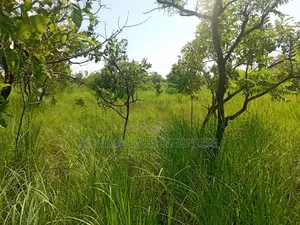Farm Land For Sale In Pader