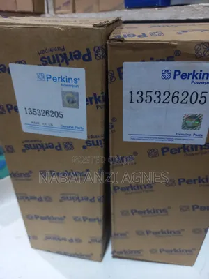 Air Cleaner for Perkins 30kva
