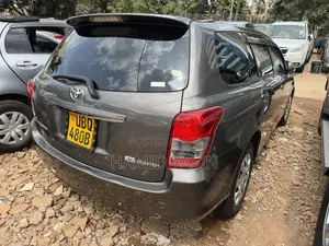 Toyota Corolla Fielder 2010 Gray