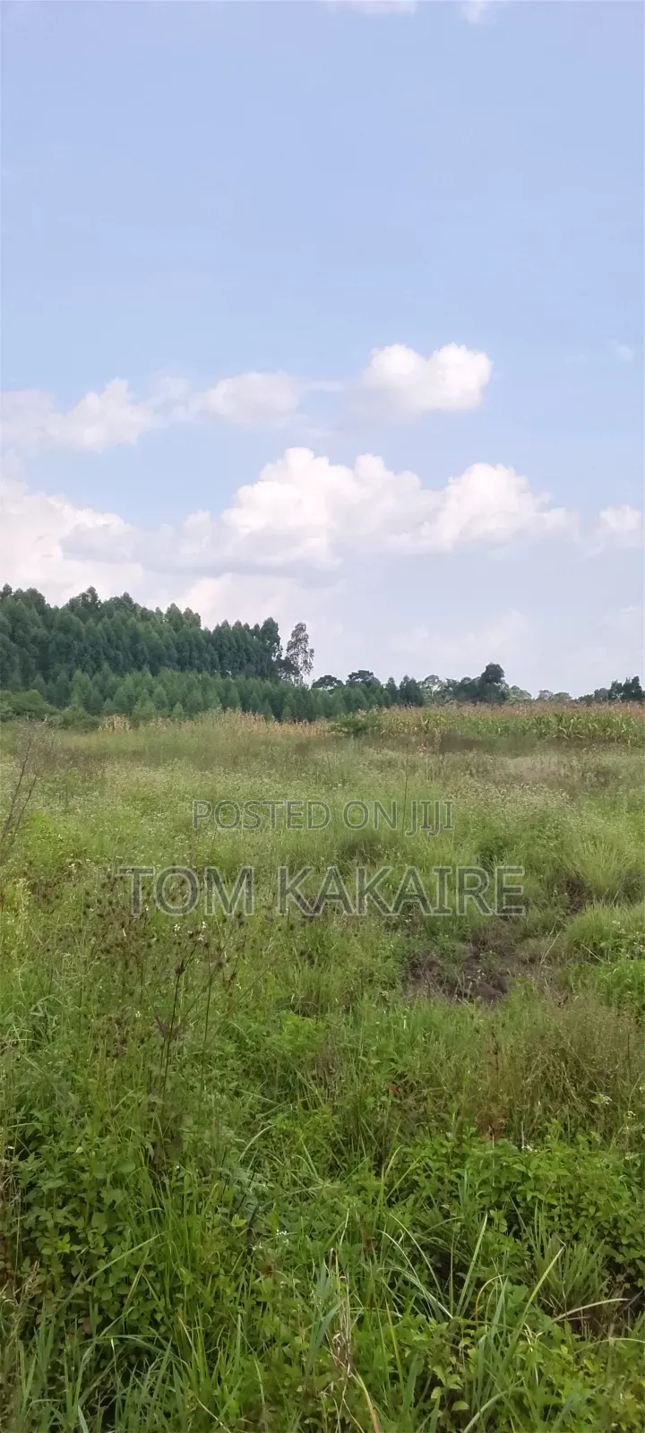 Land for Sale