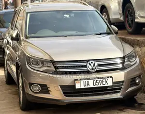 Volkswagen Tiguan S 2013 Gold