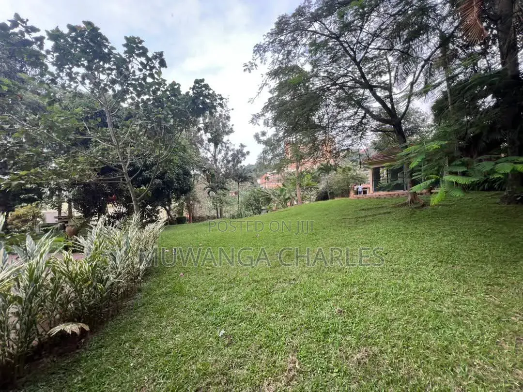 1.1acres Available for Sale in Kololo