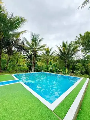 Commercial Grass Carpets