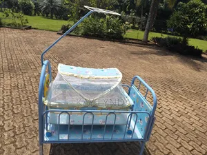Baby Crib and Basinet