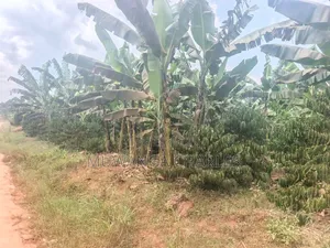 Land on Sale in Semuto