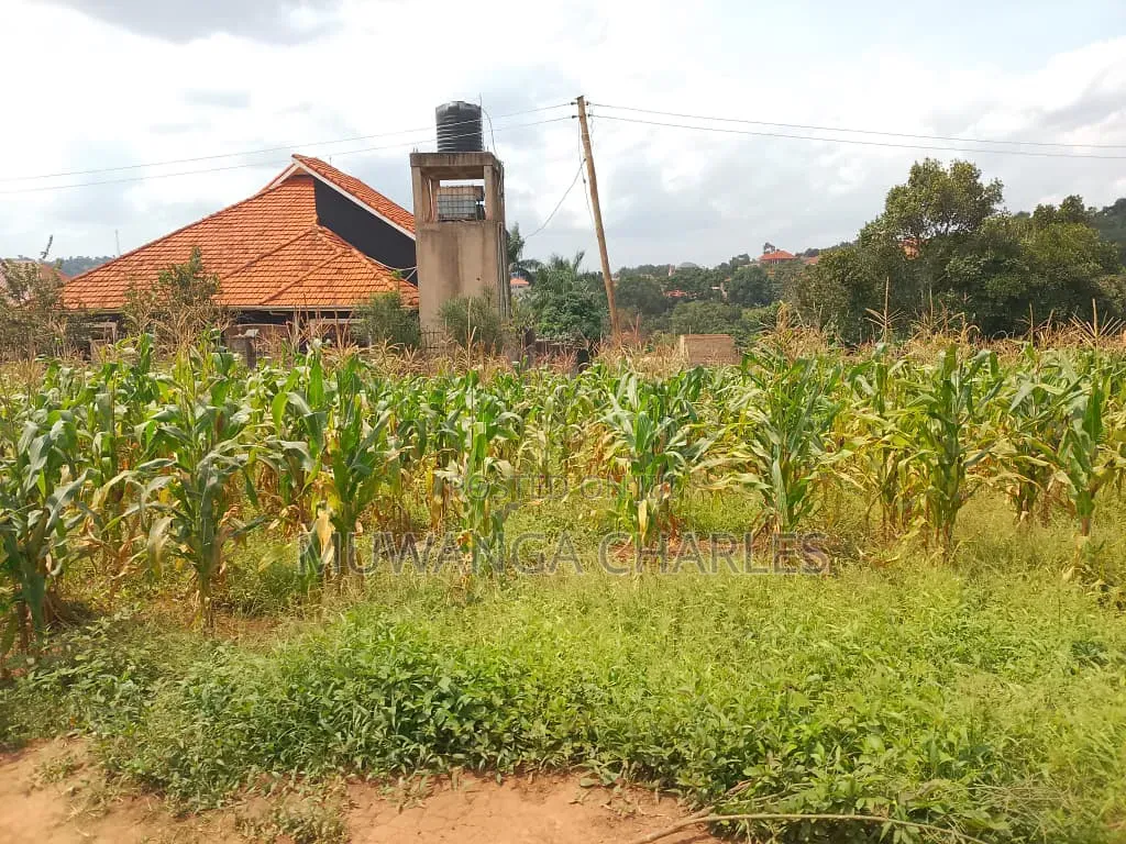 Land on Sale in Semuto