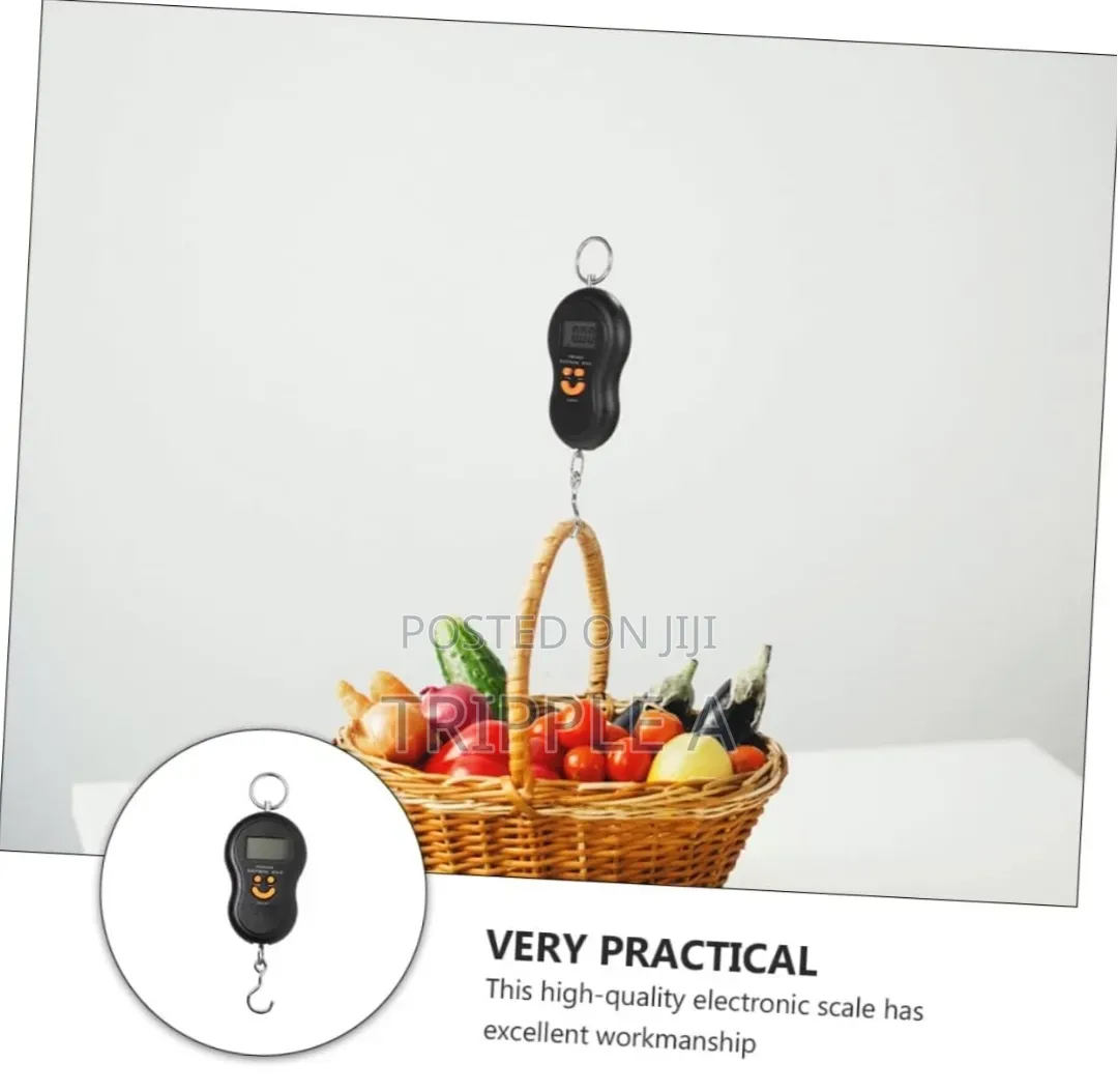 50kg/ 10g Portable Electronic Digital Travel Scale