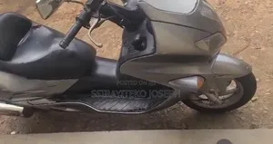 Honda Forza 2007 Silver