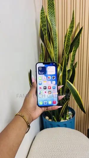 Apple iPhone 13 Pro Max 256 GB Rose Gold