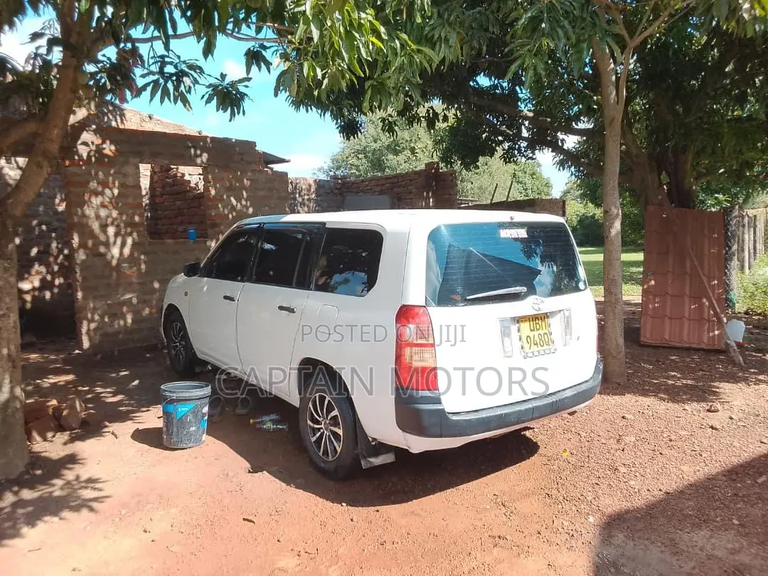 Toyota Probox 2010 White